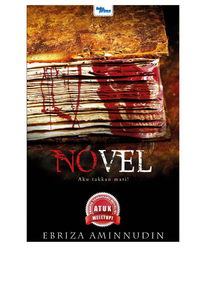 Novel - Ebriza Aminuddin