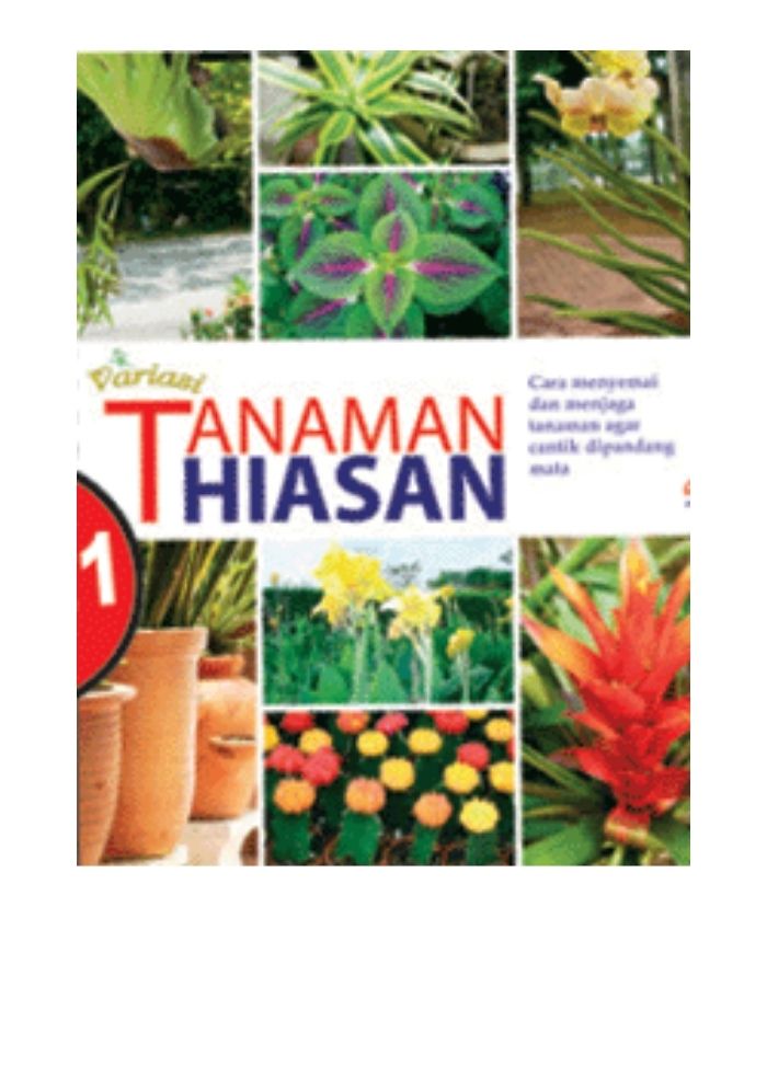 Tanaman Hiasan