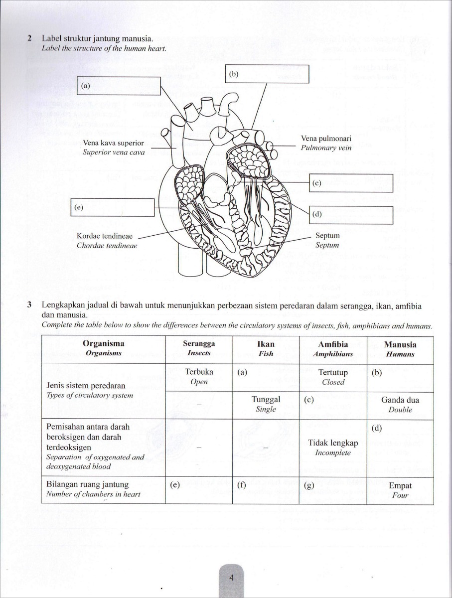 Modul Efektif PdPc Biologi Tingkatan 5