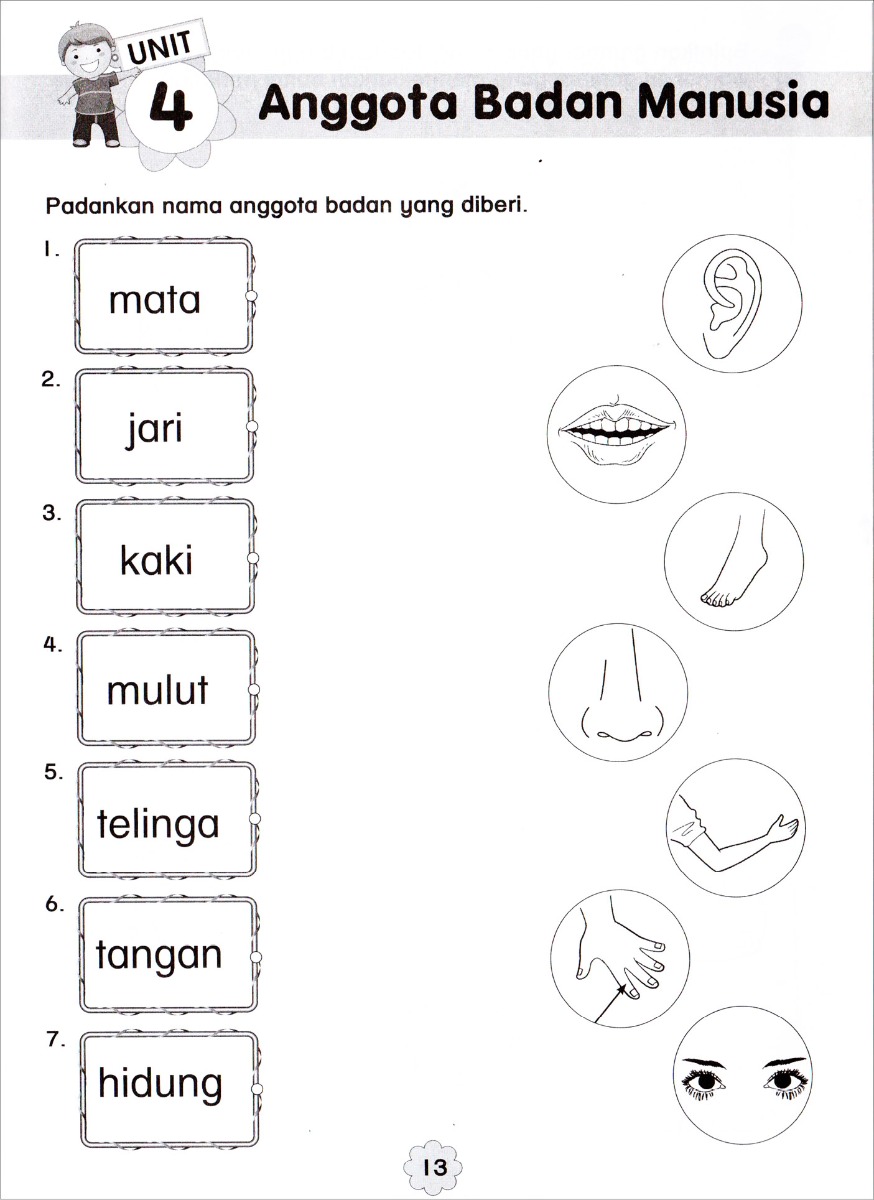 Siri Prasekolah Genius - Sains Awal