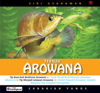 Ternak Arowana